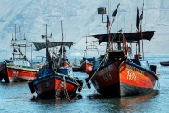 39-iquique