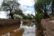 81-sanpedro
