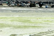 115-pandeazucar
