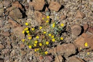 Big Bend NP, TX