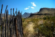 Big Bend NP, TX