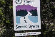 Bristlecone NF, CA