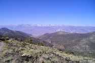 Bristlecone NF, CA