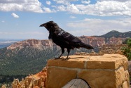 Bryce Canyon NP, UT