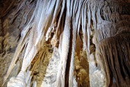Carlsbad Caverns NP, TX
