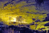 Carlsbad Caverns NP, TX