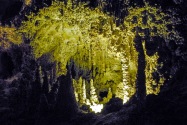 Carlsbad Caverns NP, TX