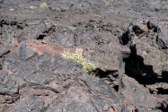 Craters of the Moon NP, ID