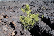 Craters of the Moon NP, ID
