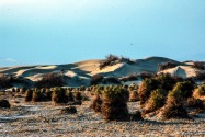 Death Valley NP, CA