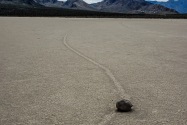 The Racetrack