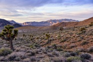 Death Valley NP, CA