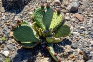 Death Valley NP, CA