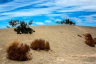 Death Valley NP, CA