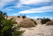Death Valley NP, CA