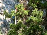 20-DevilsTower.jpg