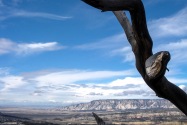 Dinosaur NM, UT & CO