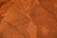 Dinosaur NM, UT & CO