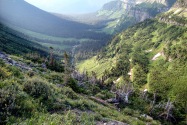 06-Glacier.jpg