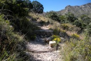Guadalupe Mountains NP, TX