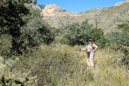 Guadalupe Mountains NP, TX