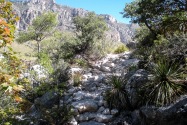 Guadalupe Mountains NP, TX