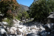 Guadalupe Mountains NP, TX