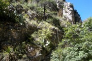 Guadalupe Mountains NP, TX
