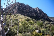 Guadalupe Mountains NP, TX