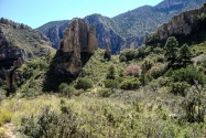 Guadalupe Mountains NP, TX