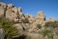 Joshua Tree NP, CA