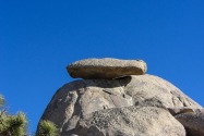 Joshua Tree NP, CA