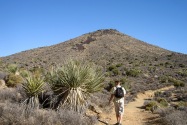Joshua Tree NP, CA