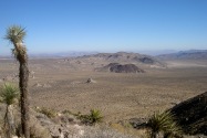Joshua Tree NP, CA