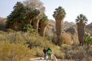 Joshua Tree NP, CA