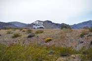 Joshua Tree NP, CA