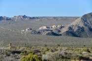 Joshua Tree NP, CA