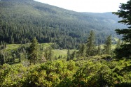 Mt. Lassen NP, CA