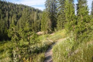 Mt. Lassen NP, CA