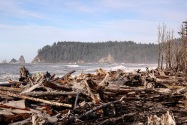 Olympic NP, WA