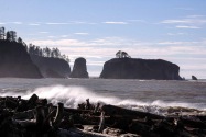 Olympic NP, WA