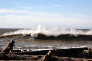 Olympic NP, WA