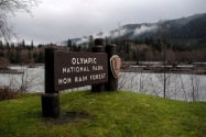 Olympic NP, WA