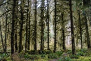 Olympic NP, WA