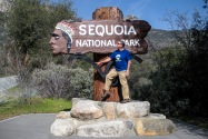 Sequoia NP, CA