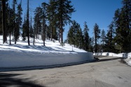 Sequoia NP, CA
