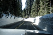Sequoia NP, CA