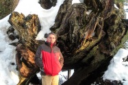 Sequoia NP, CA