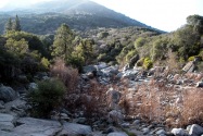 Sequoia NP, CA