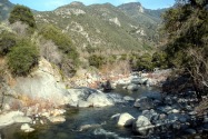 Sequoia NP, CA